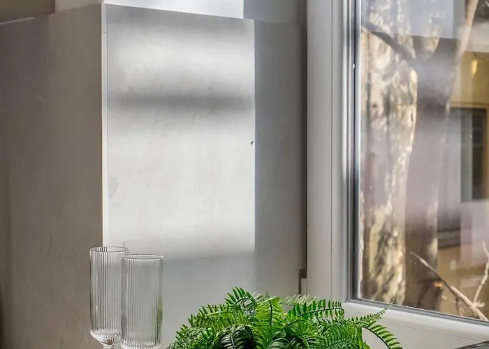 Apartmán Universitatii Designer 3br - Grand Windows High Ceilings & Balcony Views *